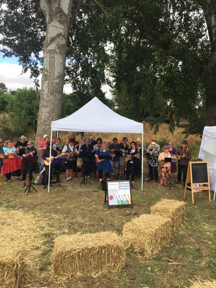 BUG at Clunes Market 2018 02 11