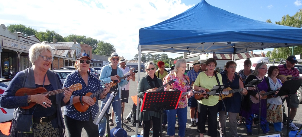 2017 03 12 BUG at Clunes market photo by Margaret