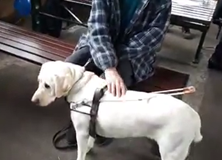 2019 12 int day disabilities
